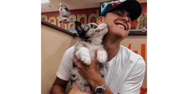 Willkommen, Dybala, nach Hause zu gehen, dieser Weg ist zu schwierig